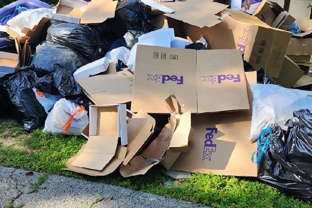 Best Valley Junk Removal