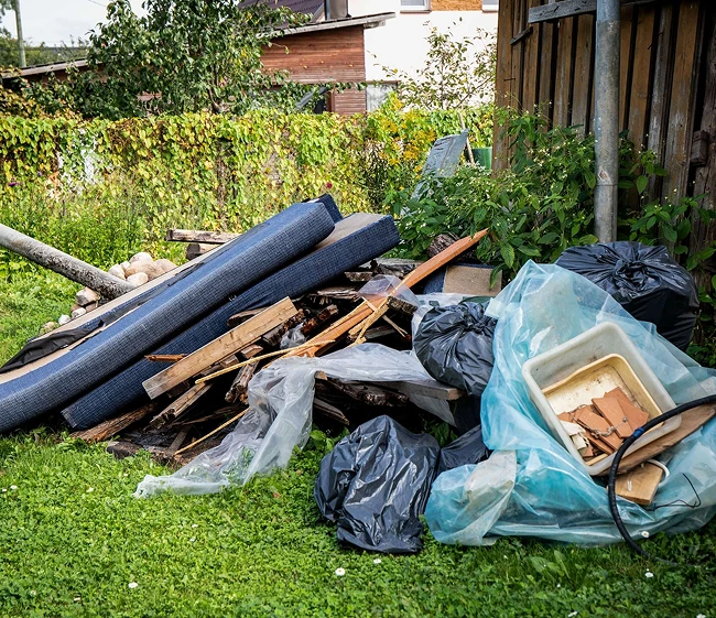 Yard Waste Removal
